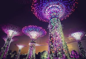 Why You Must Visit Singapore in 2025 Pacific Tours