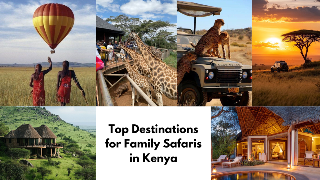 Pacific Tours Family-Friendly Safari Packages in Kenya
